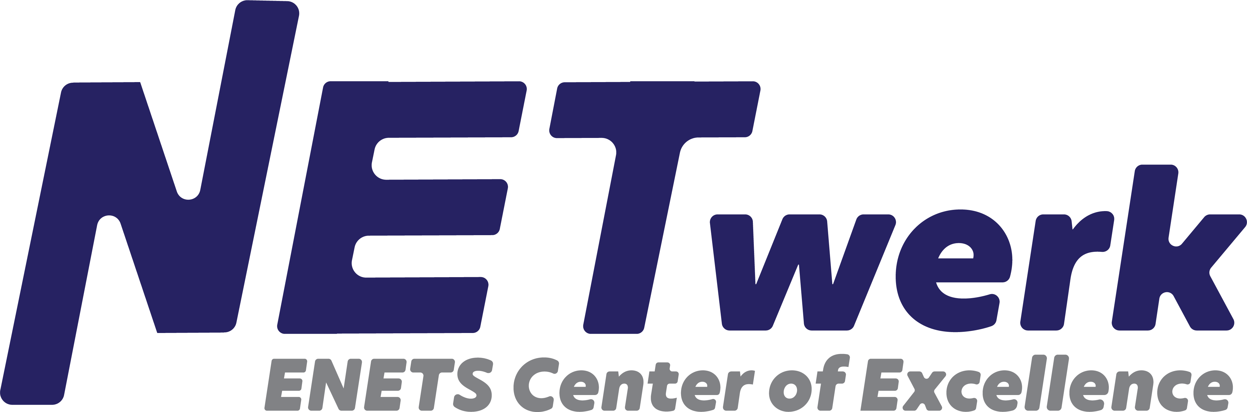 NETwerk - Center of Excellence - logo